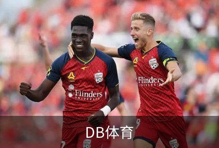 了解DB体育